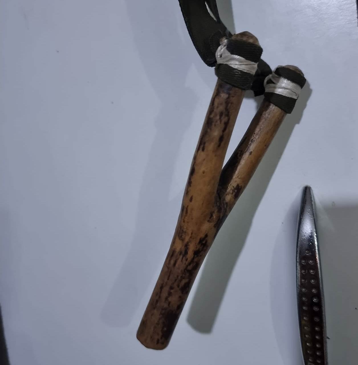 Un băiat de 14 ani și-a salvat cu praștia sora răpită de un individ