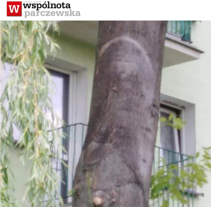 Apariție stranie pe trunchiul unui copac. Credincioșii cred că e chipul lui Iisus, preoții spun că seamănă cu Conchita Wurst