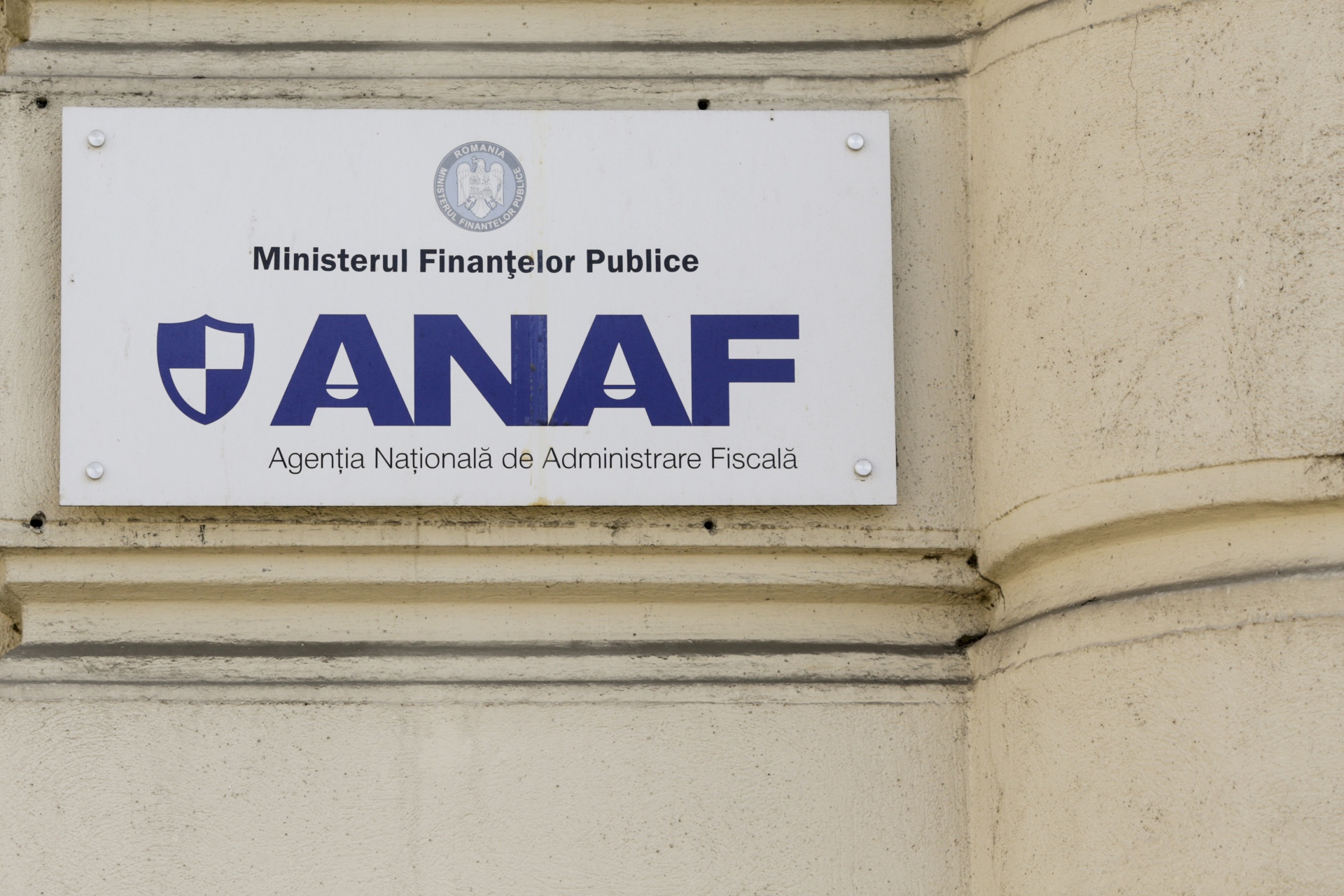 Vicepreședinta ANAF Nicoleta Cîrciumaru, numită interimar în funcția de președintă a Fiscului