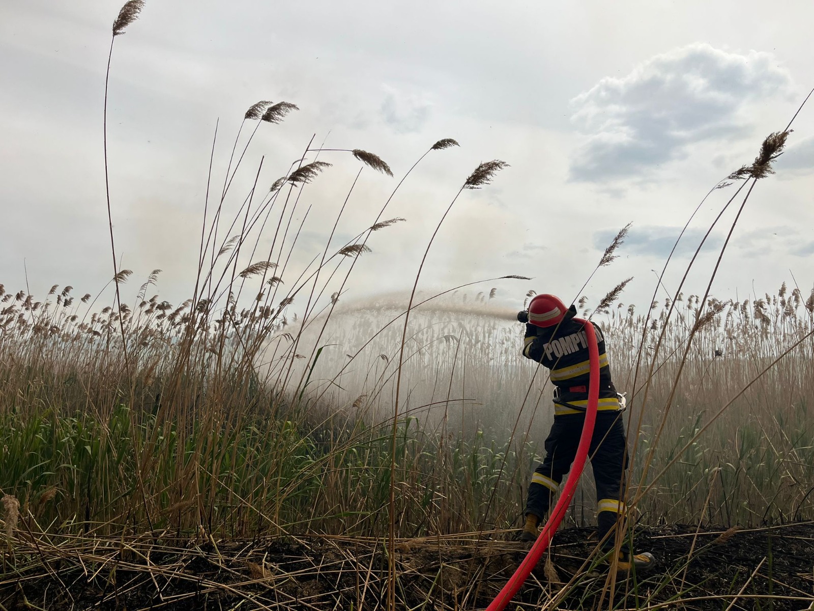 Incendiu puternic în Delta Dunării. Peste 20 de hectare au fost afectate : Europa FM