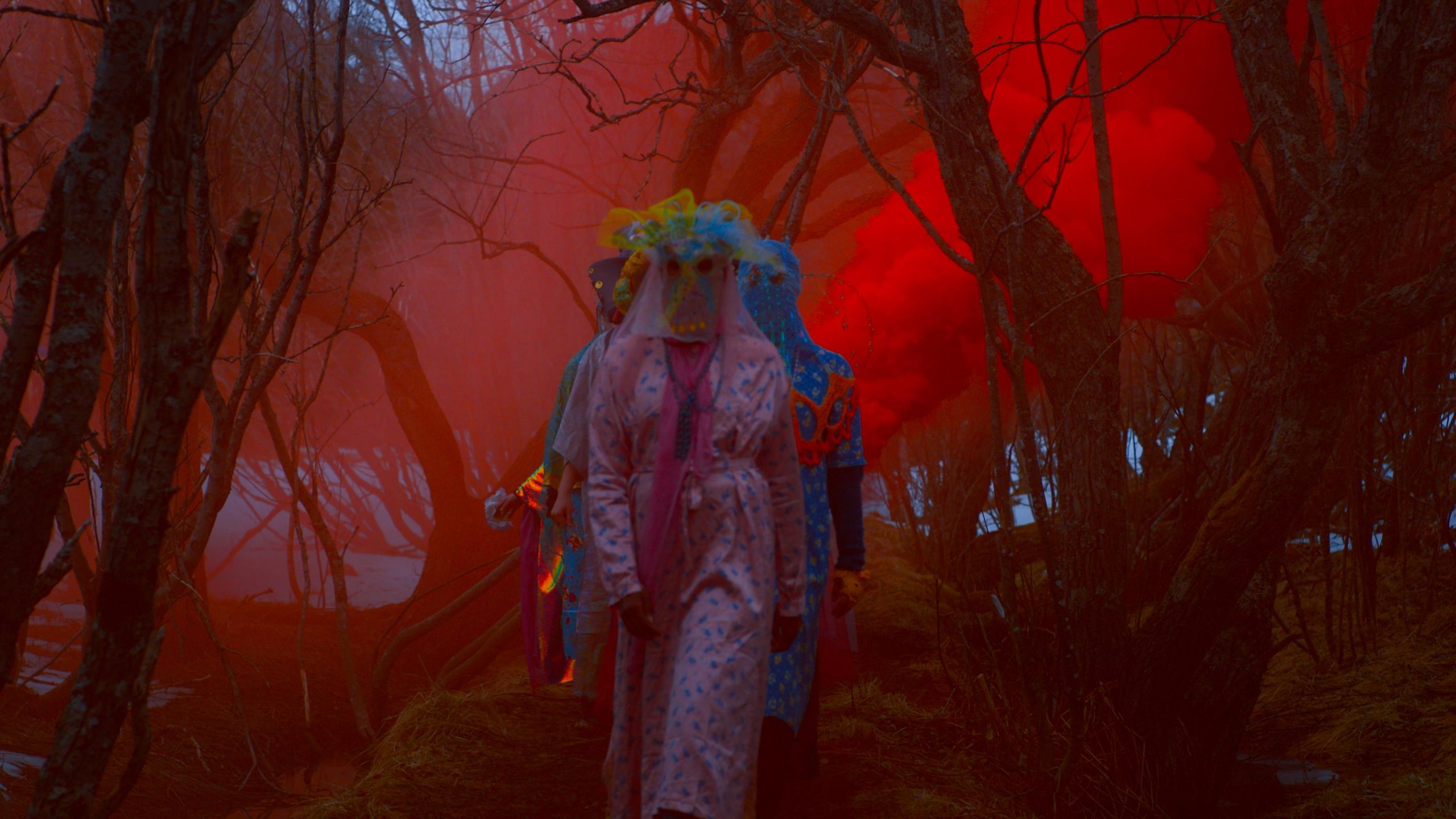 TIFF.22: Cinematografia nordică în focus : Europa FM