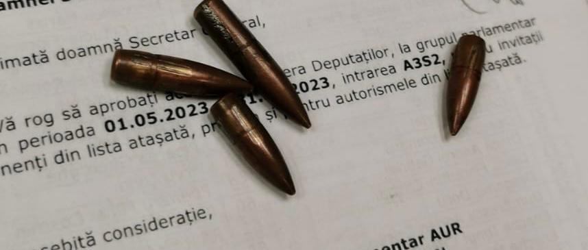 O femeie, colaborator AUR, a încercat să introducă gloanțe în Parlament