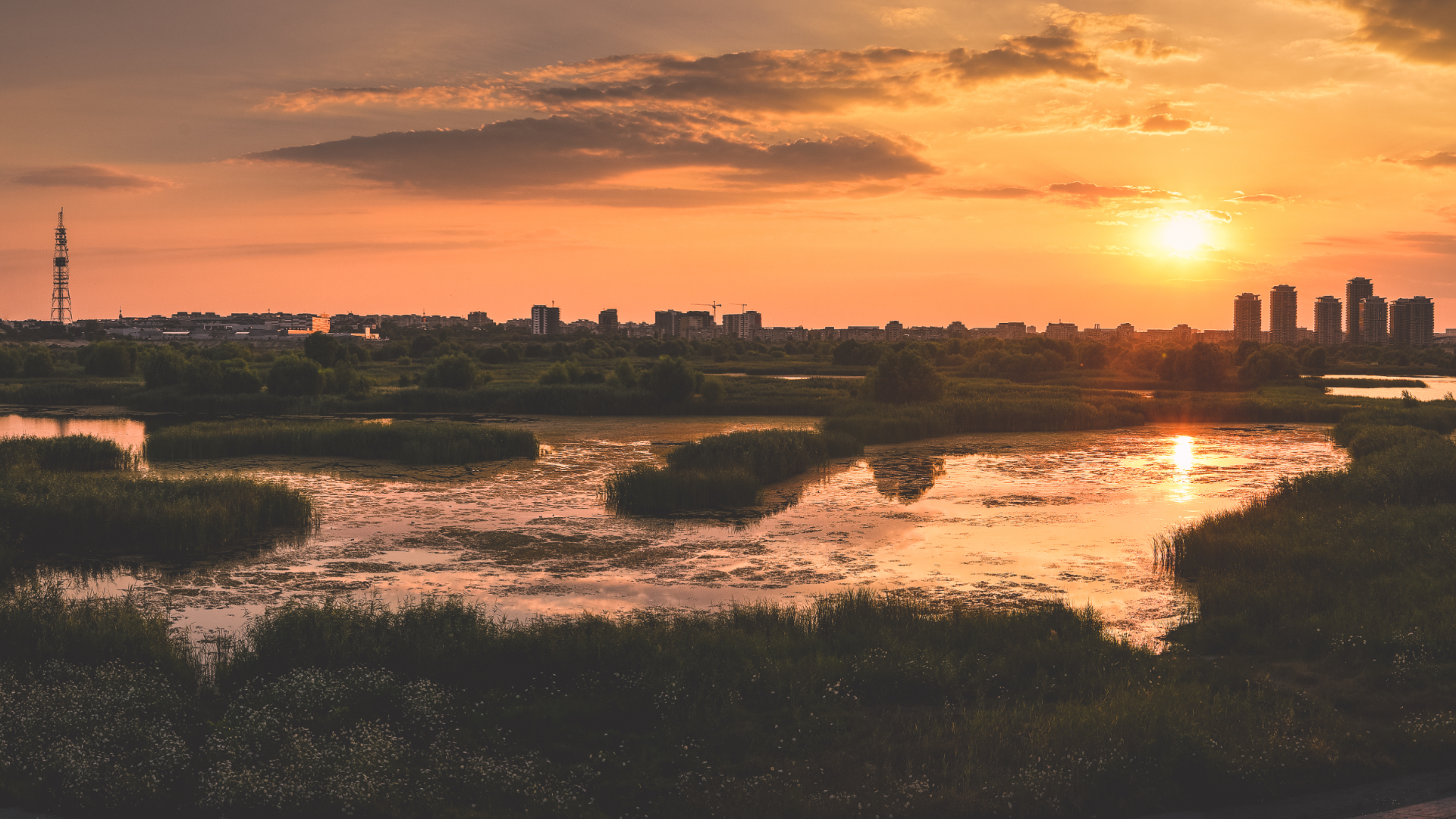 Ministerul Mediului a aprobat regulamentul în privința activităților desfășurate în Parcul Natural Văcărești. Ce sancțiuni se aplică pentru nerespectarea regulilor
