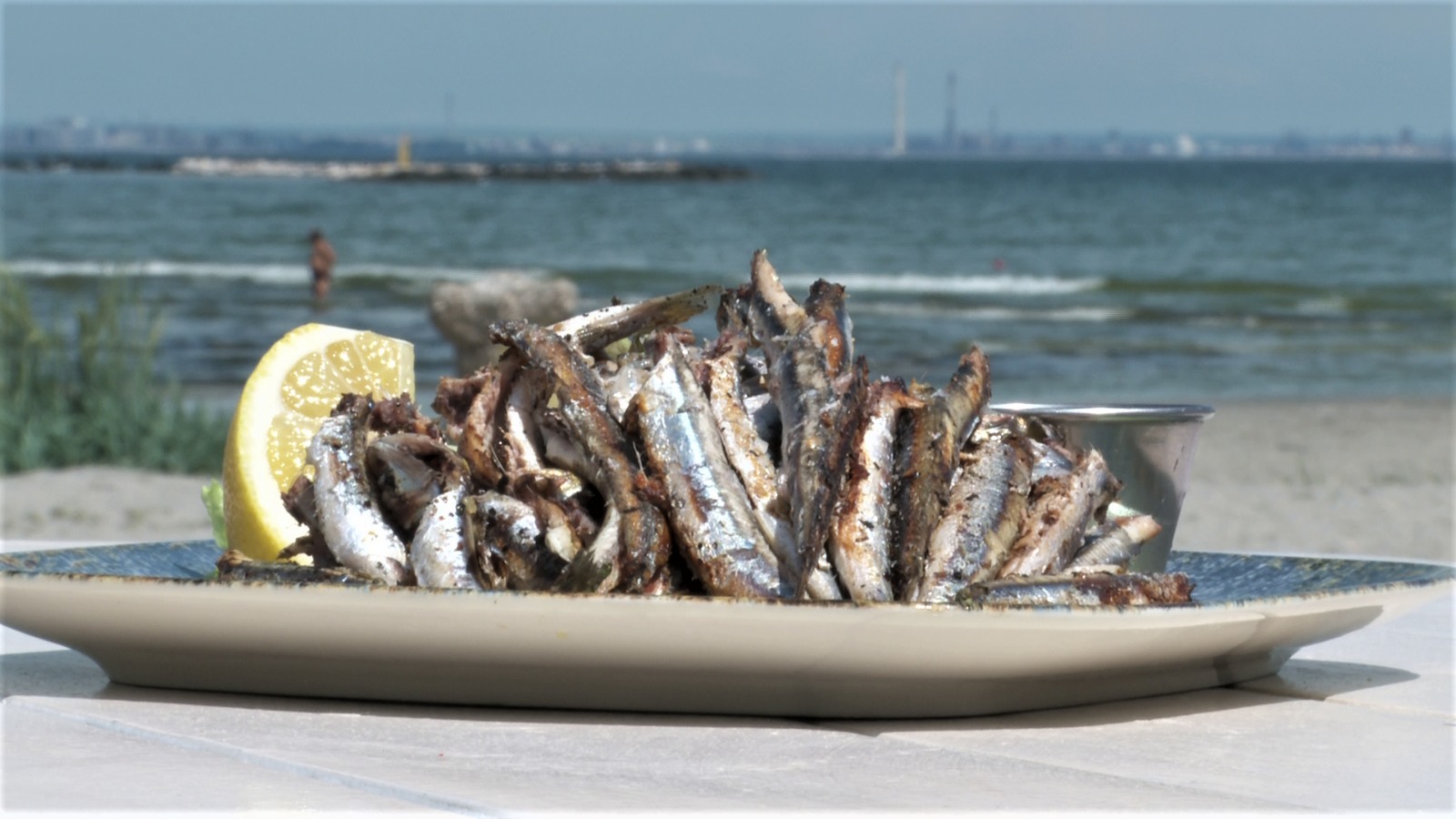 Constanța: A inceput sezonul hamsiei