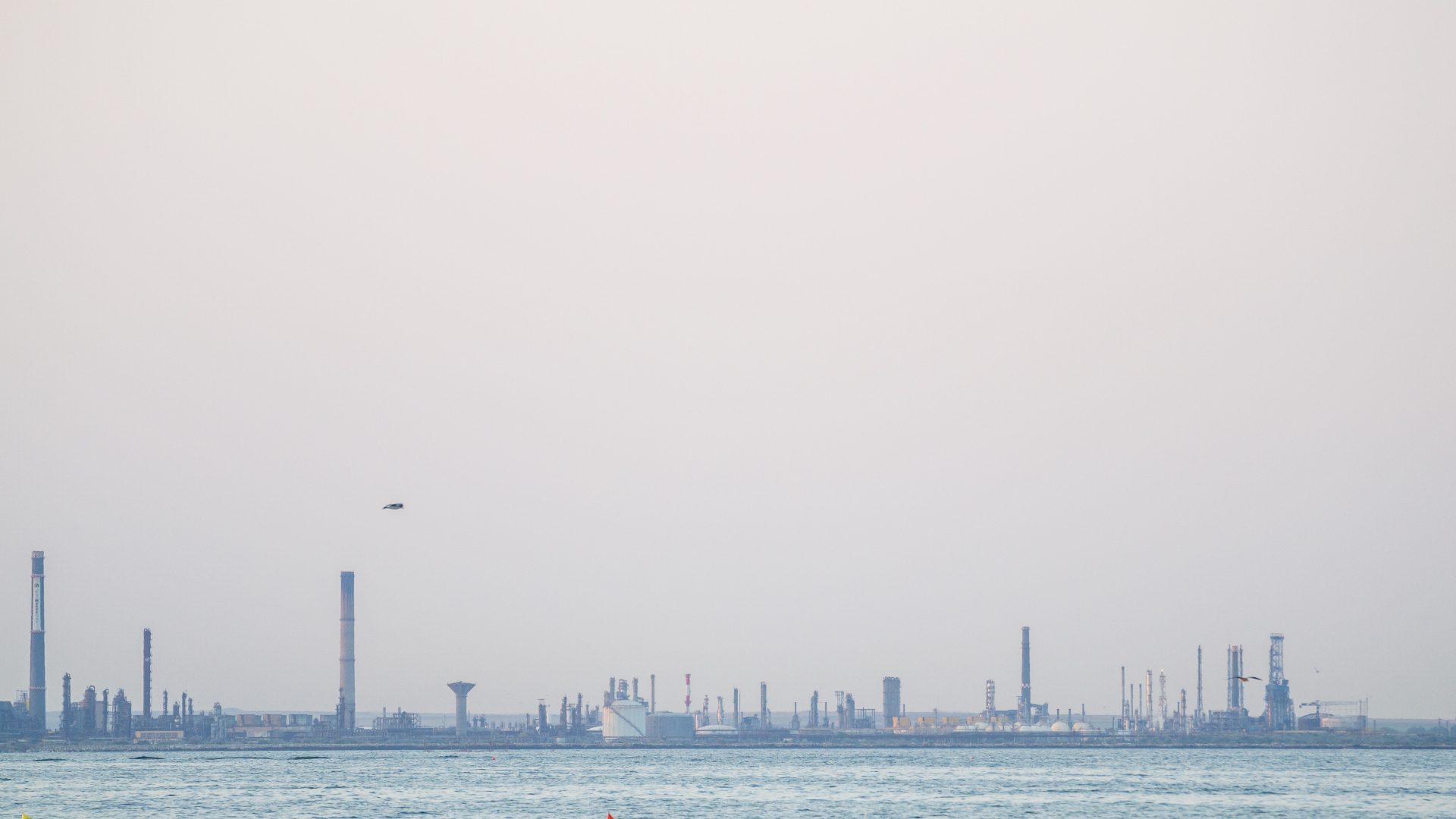 Femeia rănită în accidentul de muncă de la Petromidia a murit