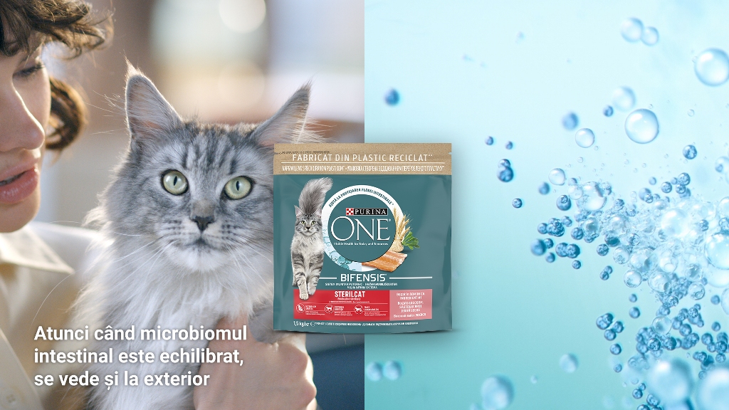 Descoperă gama de hrană pentru pisici Purina ONE Bifensis® (P) : Europa FM