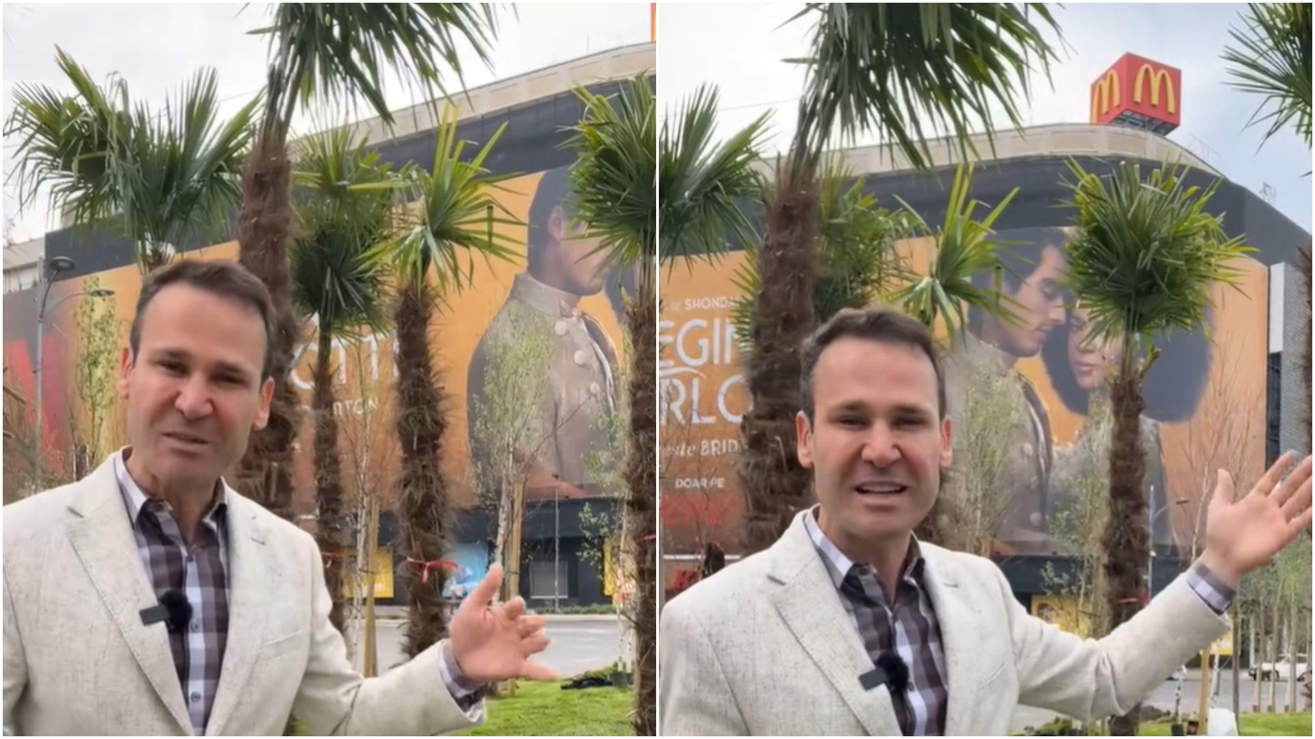 Palmierii plantați în Piața Unirii din București vor fi scoși în această după-amiază. Viceprimarul Capitalei: „Centrul este o zonă protejată”