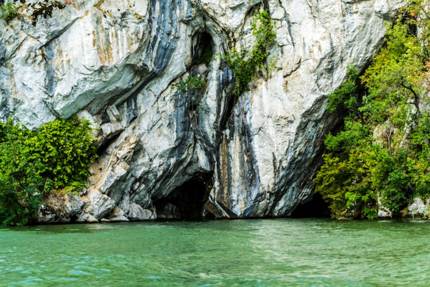 Dreptul la existență – Campania care vrea să confere naturii un statut juridic