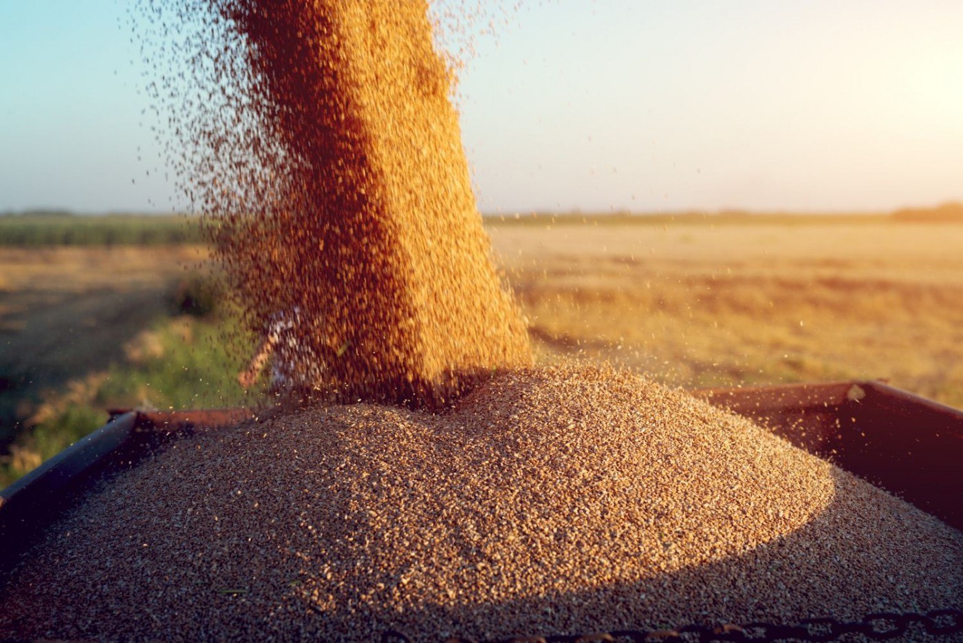 Agricultorii polonezi au blocat la graniţă camioanele ucrainene cu cereale, cerând despăgubiri guvernului