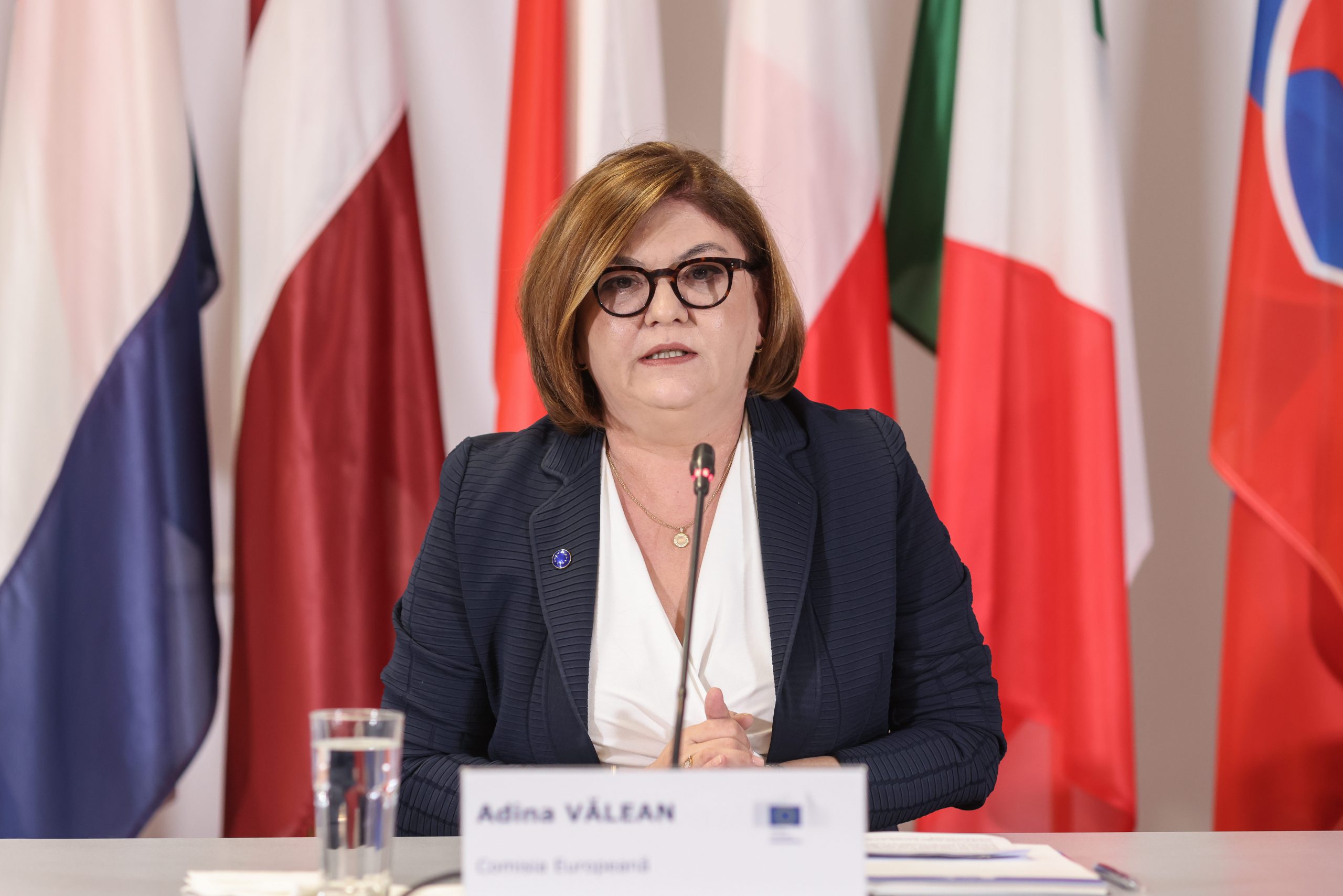 România primește peste 600 de milioane de euro prin Mecanismul de Interconectare a Europei. Adina Vălean: O performanță uriașă pentru țara noastră