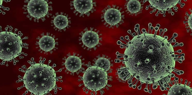 Experții avertizează asupra unor noi schimbări la virusul care provoacă cazuri record de gripă aviară