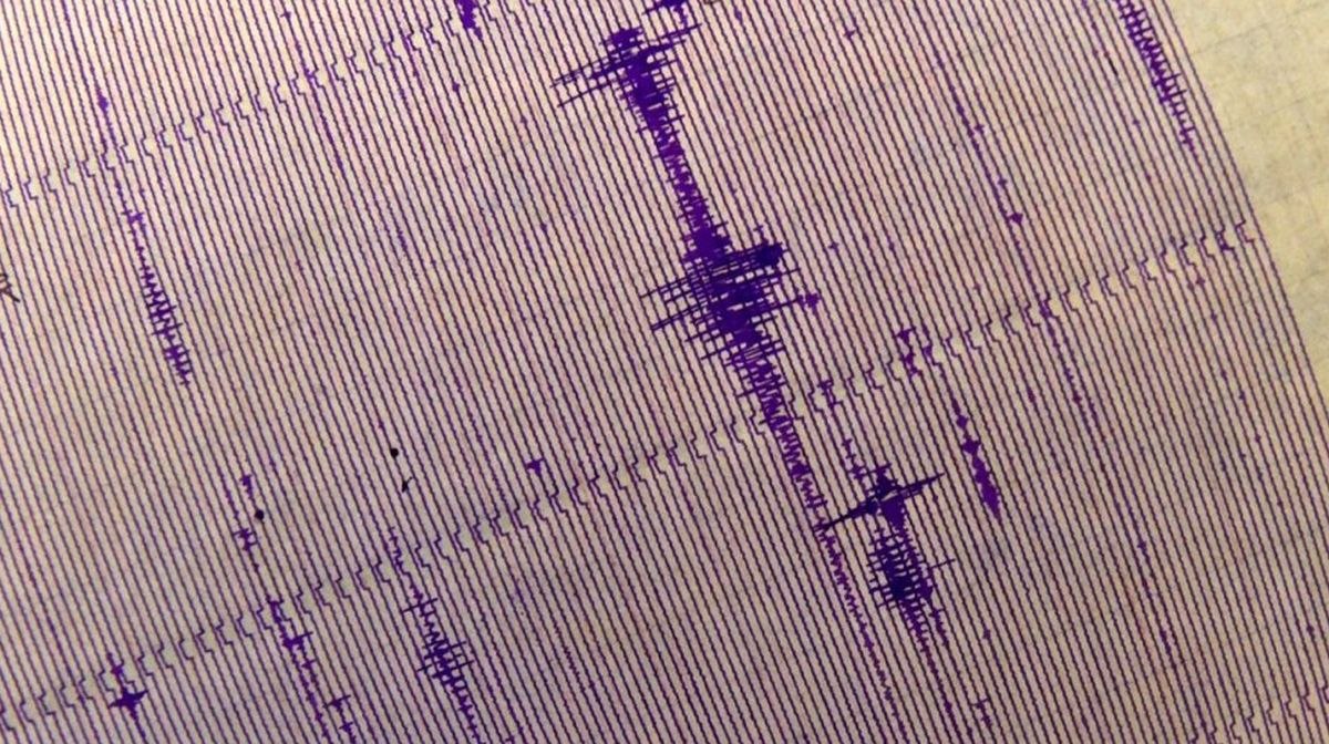 Un cutremur cu magnitudinea de 4,5 a lovit Polonia