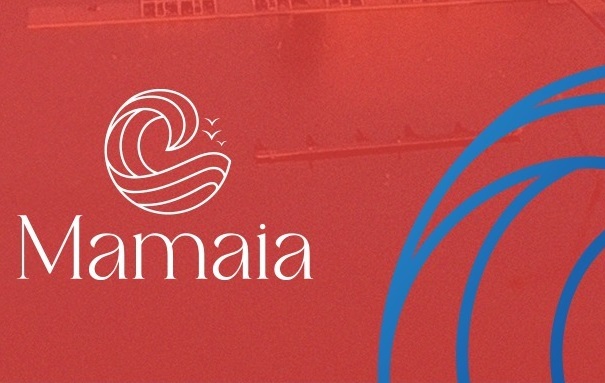 Noul logo al stațiunii Mamaia va fi refăcut. Proiectul a costat 16.000 de euro : Europa FM