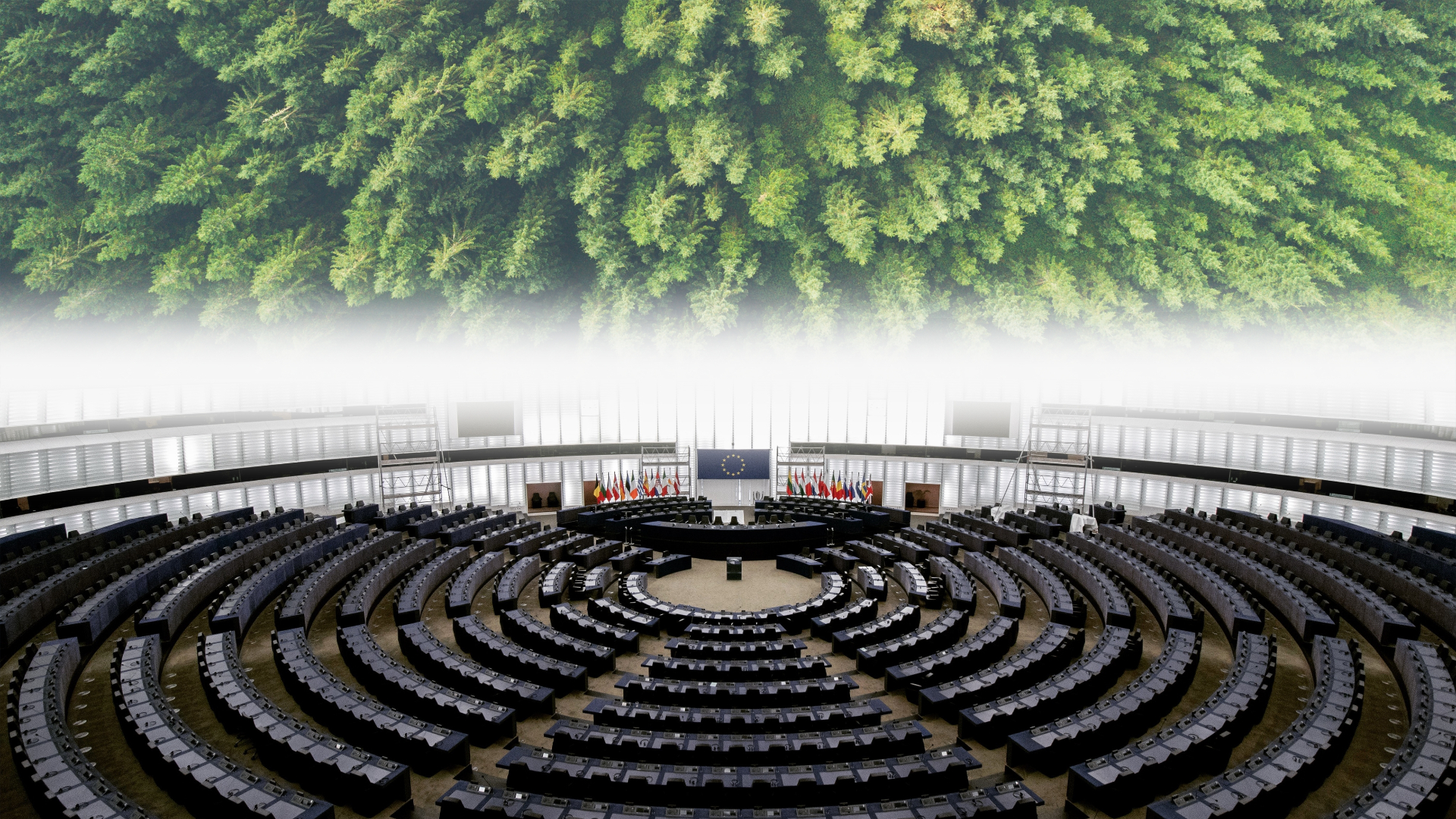 PE a adoptat „Legea pentru restaurarea naturii”: Noi măsuri pentru protecția naturii vor intra în vigoare până în 2030