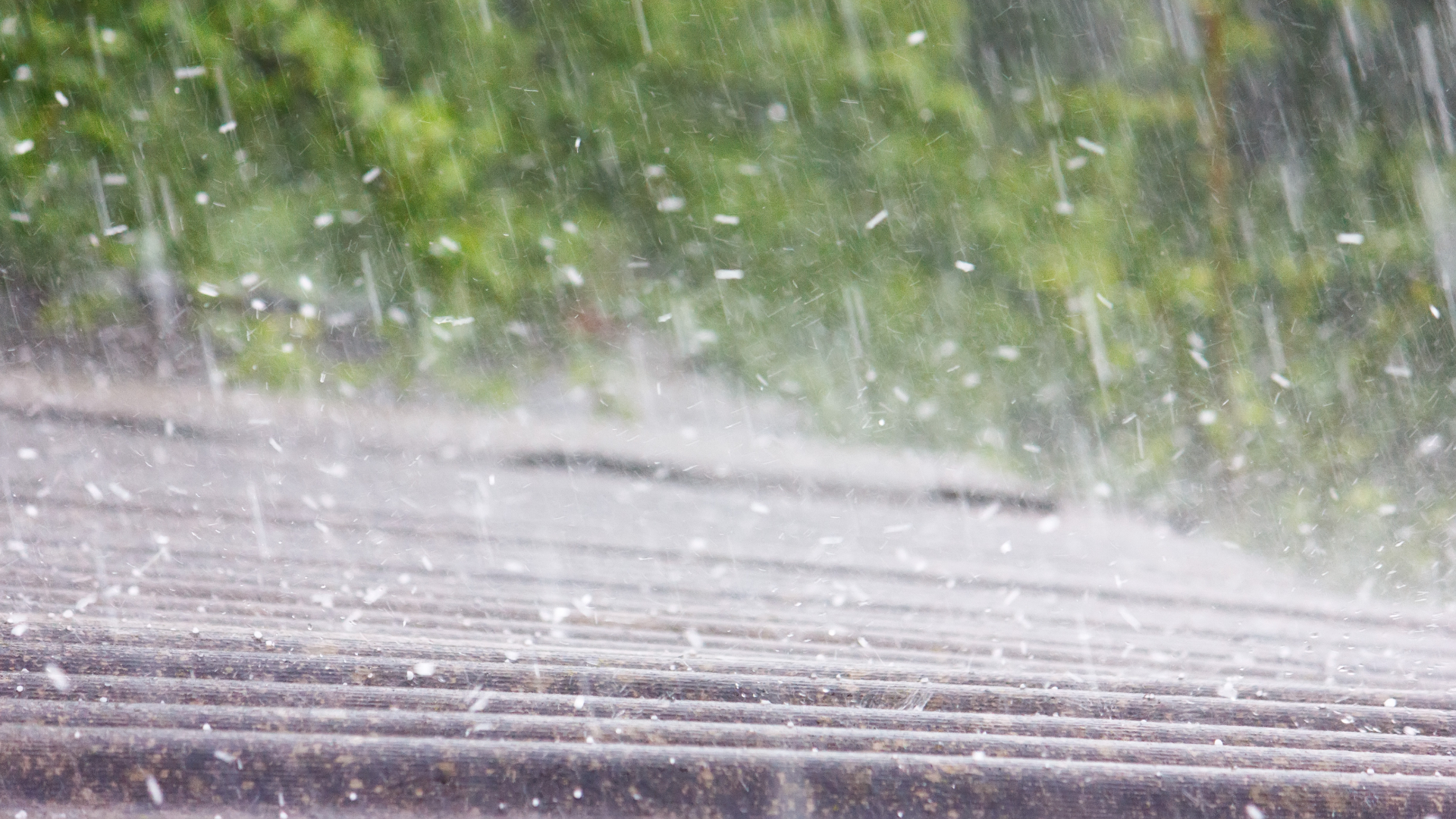 Culturi agricole distruse de grindină în județul Maramureș| Mii de locuințe din Baia Mare, fără curent electric : Europa FM