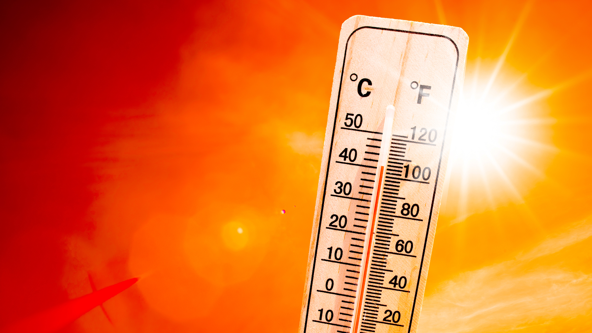 Cum a fost simțită canicula de românii care lucrează în piețe, pe șantier sau de șoferi. „O să stau până diseară. Ia uite cât marfă am”