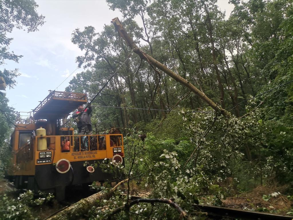 CFR: Trafic feroviar grav afectat pe raza regionalelor Timișoara și Craiova de furtunile din timpul nopții : Europa FM