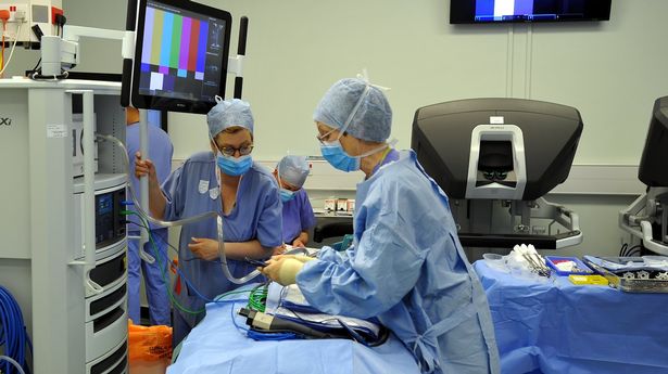 Un rinichi de porc ți-ar putea salva viața. Medicii din SUA continuă să facă experimente