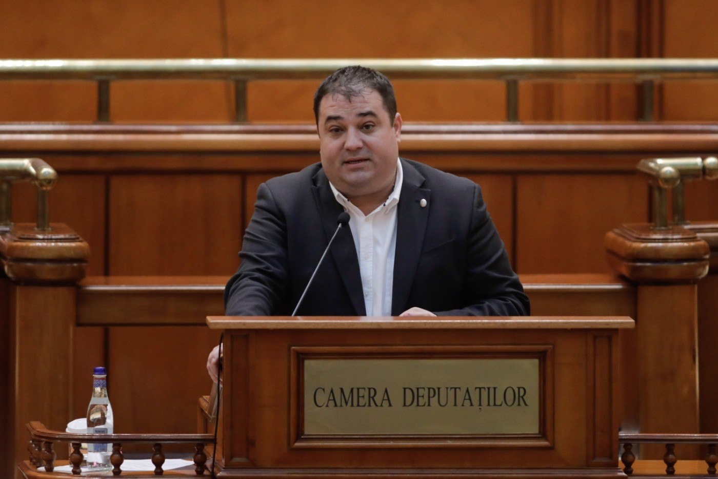 Șeful Comisiei de Muncă din Camera Deputaților acuză dezinformări privind legea pensiilor speciale