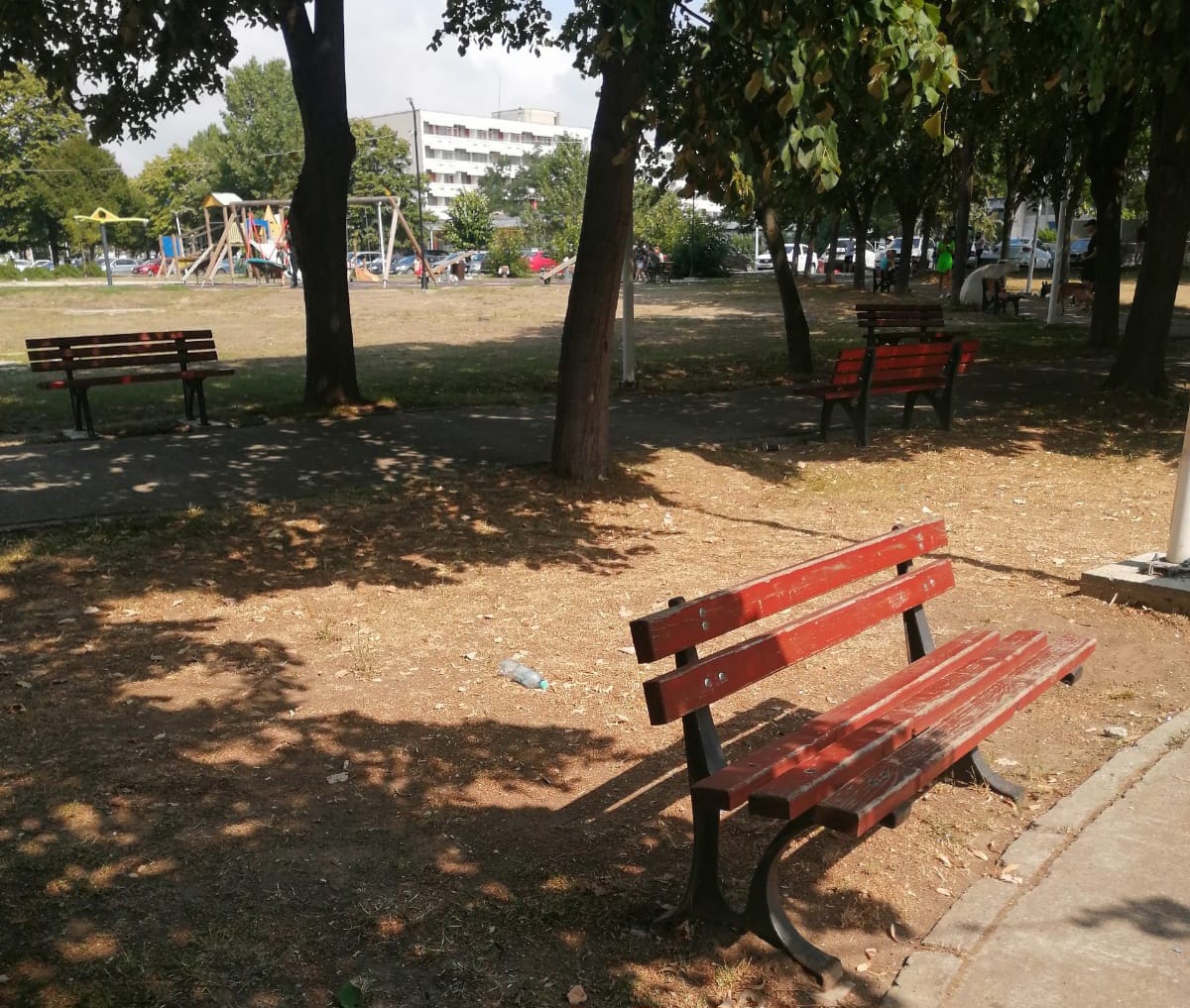 UPDATE: O tânără de 18 ani – ucisă și abandonată într-un parc din Mangalia : Europa FM