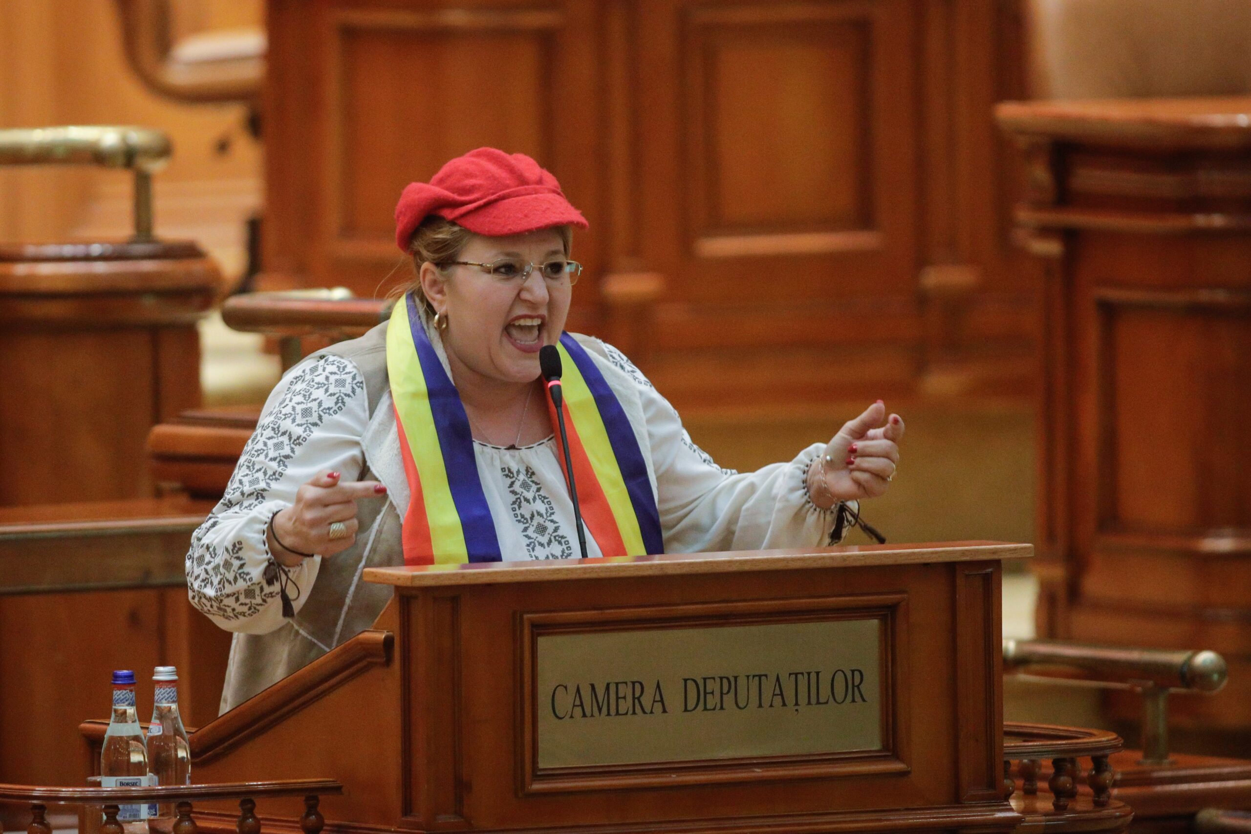 Diana Șoșoacă își anunță candidatura pentru alegerile prezidențiale: „M-am săturat de mizeria la care am asistat”