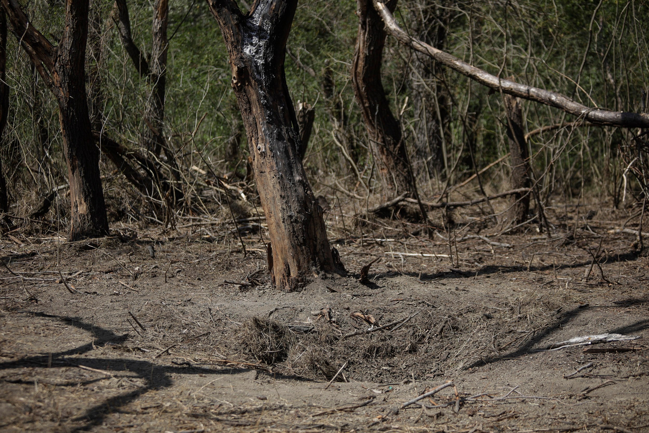 Noi bucăți de dronă, găsite în România! Iohannis: A avut loc o încălcare absolut inacceptabilă a spațiul aerian român