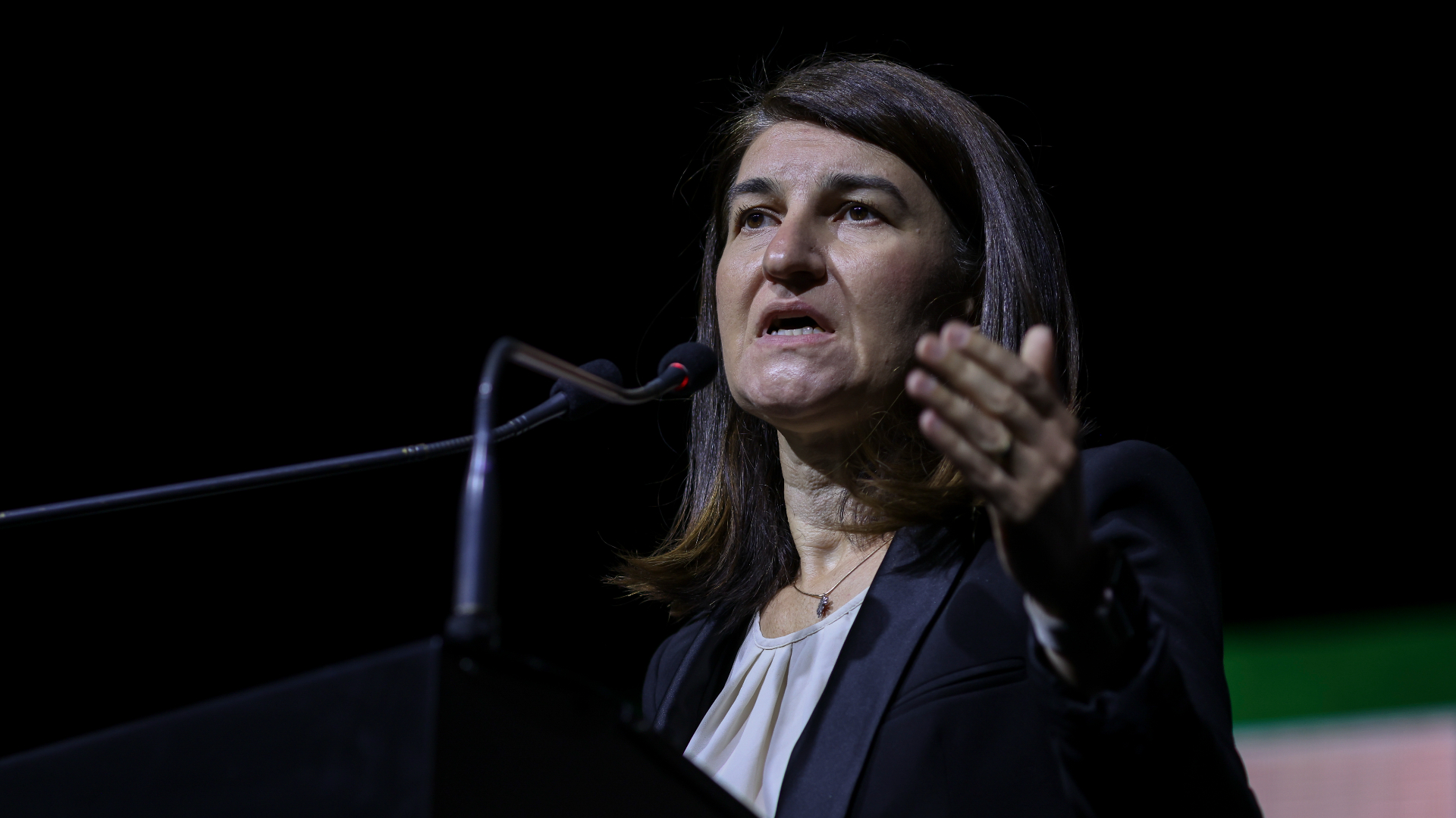 Violeta Alexandru, despre Legea Pensiilor: Când propune o lege cu impact bugetar major, orice Guvern responsabil trebuie să dea garanții în cifrele pe care le are, nu în cele la care speră