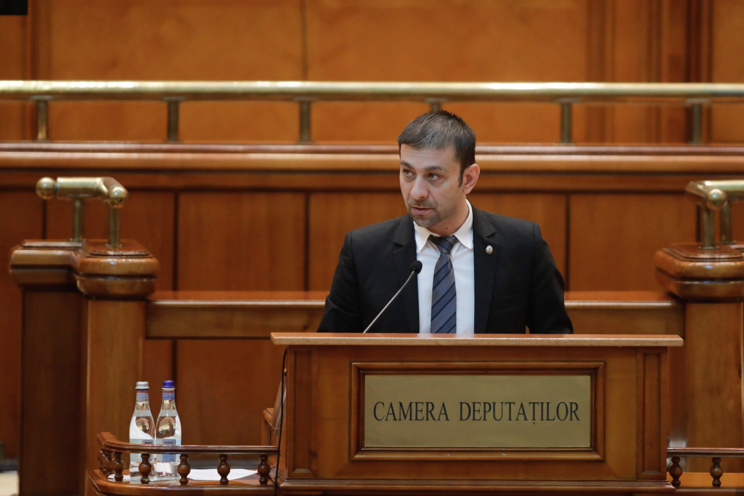 PSD respinge propunerea PNL privind comasarea alegerilor. Zetea: Vom fi judecați de români