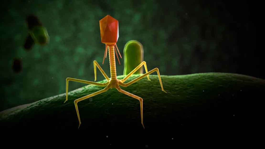 Superbacteriile amenință să ucidă 10 milioane de oameni pe an