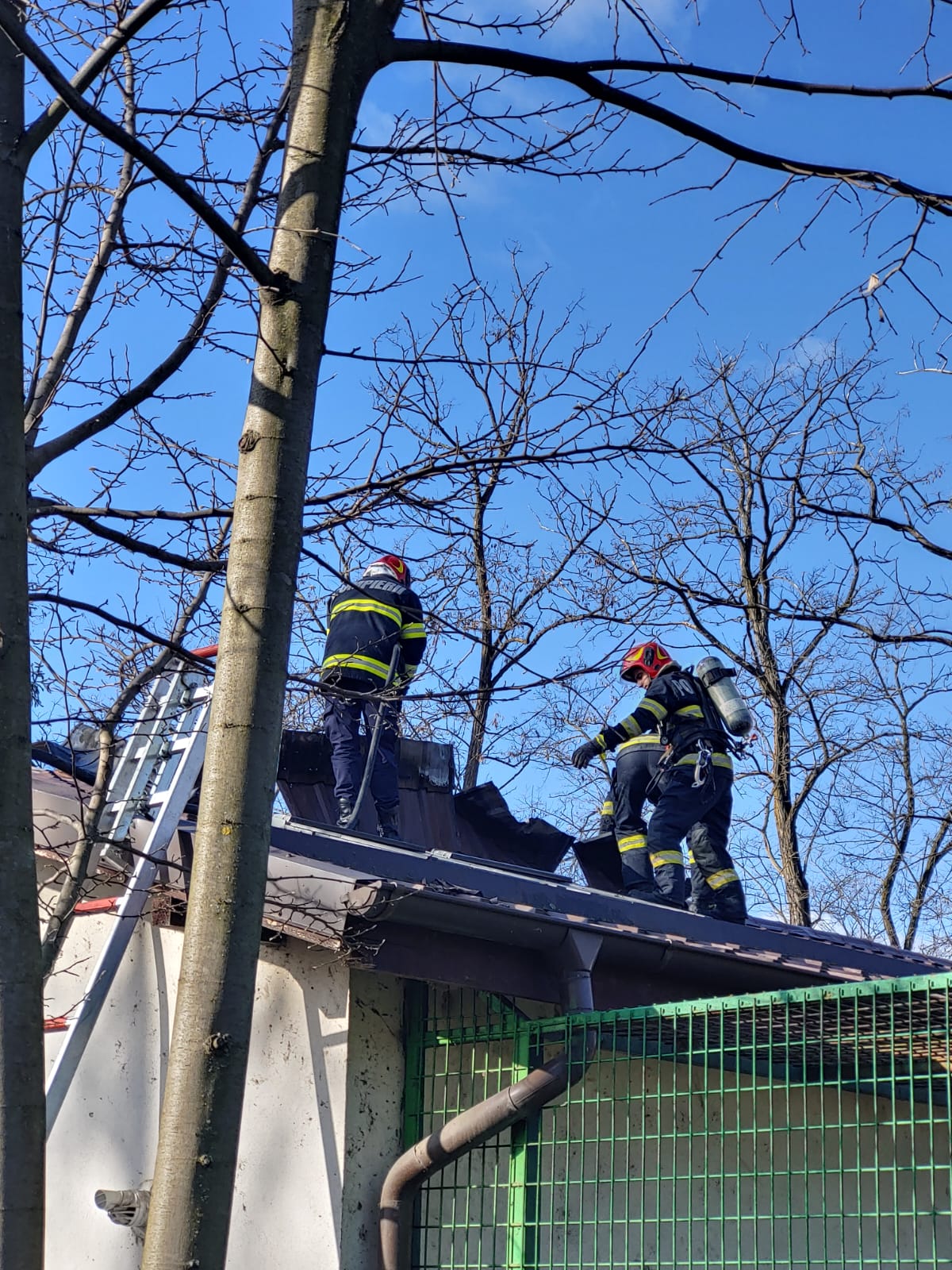 Incendiu la Grădina Zoologică din Râmnicu Vâlcea : Europa FM