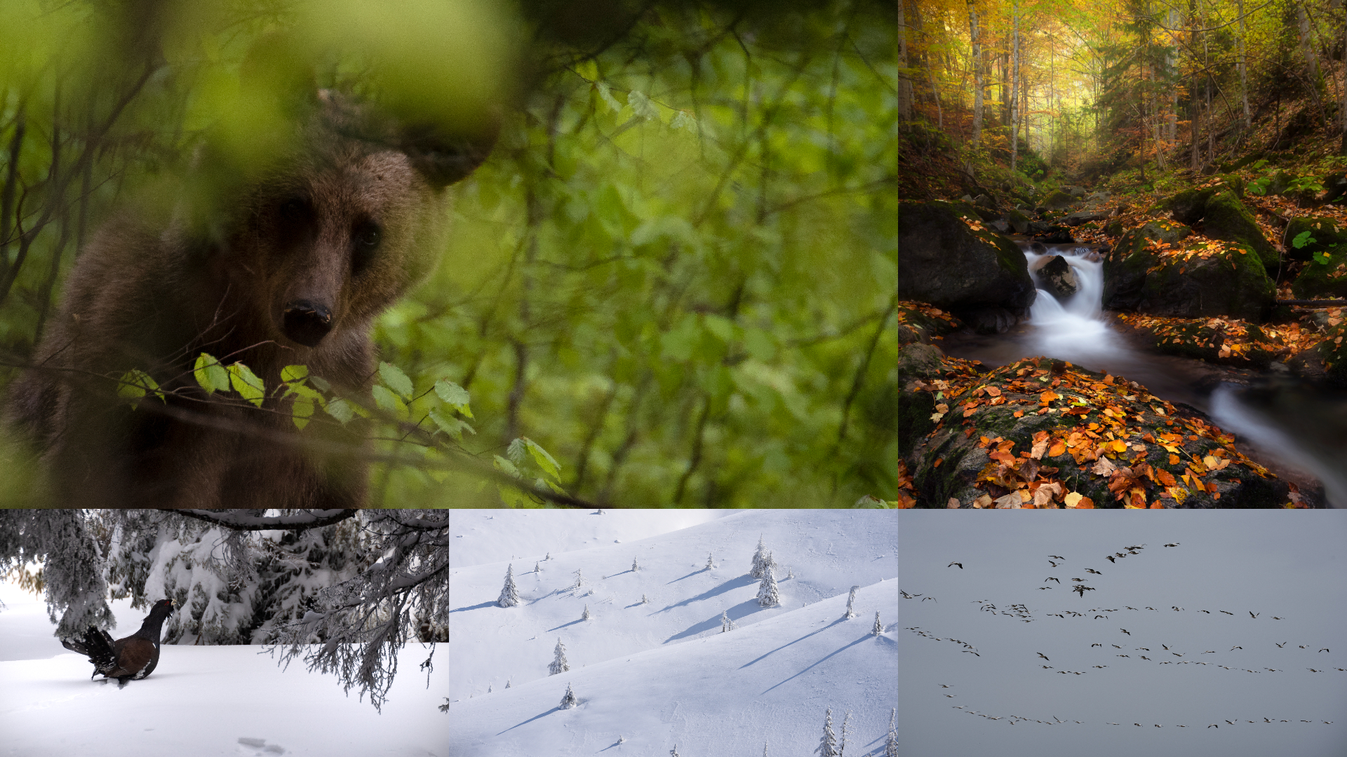 Anul 2023, în 12 fotografii realizate de Raul Bambu – editor de știri Radio Europa FM