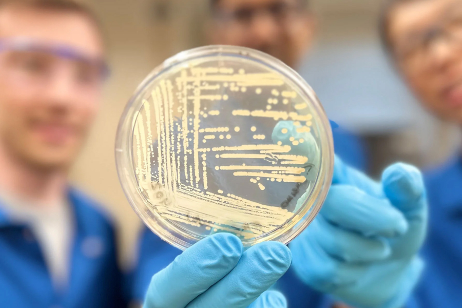 Harvard a dezvoltat un nou antibiotic sintetic