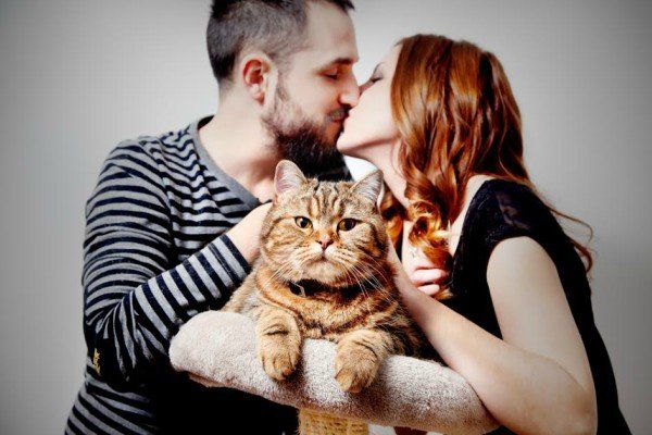 Ai pisici, riști să faci schizofrenie