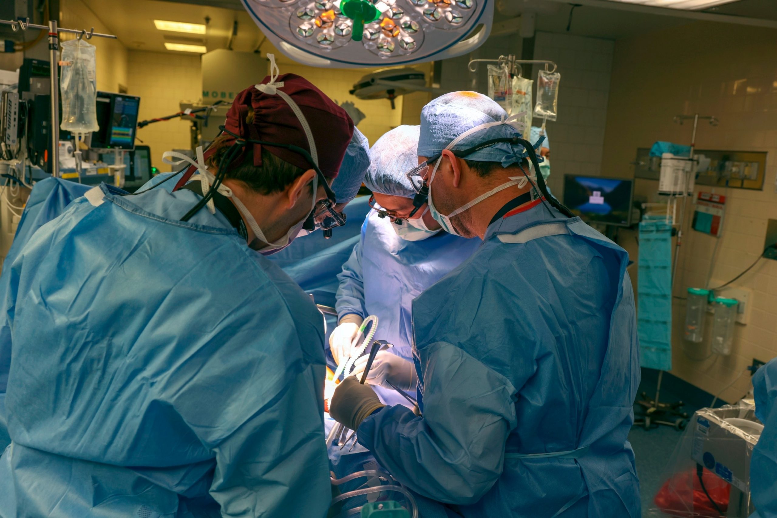 Un american a primit primul transplant de rinichi de porc
