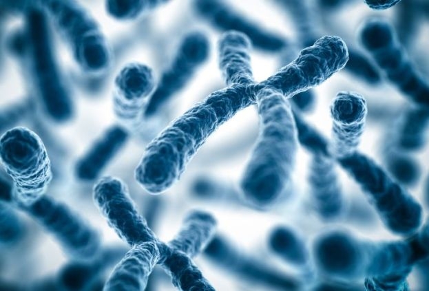 Timișoara organizează primul hackathon despre biologia sintetică