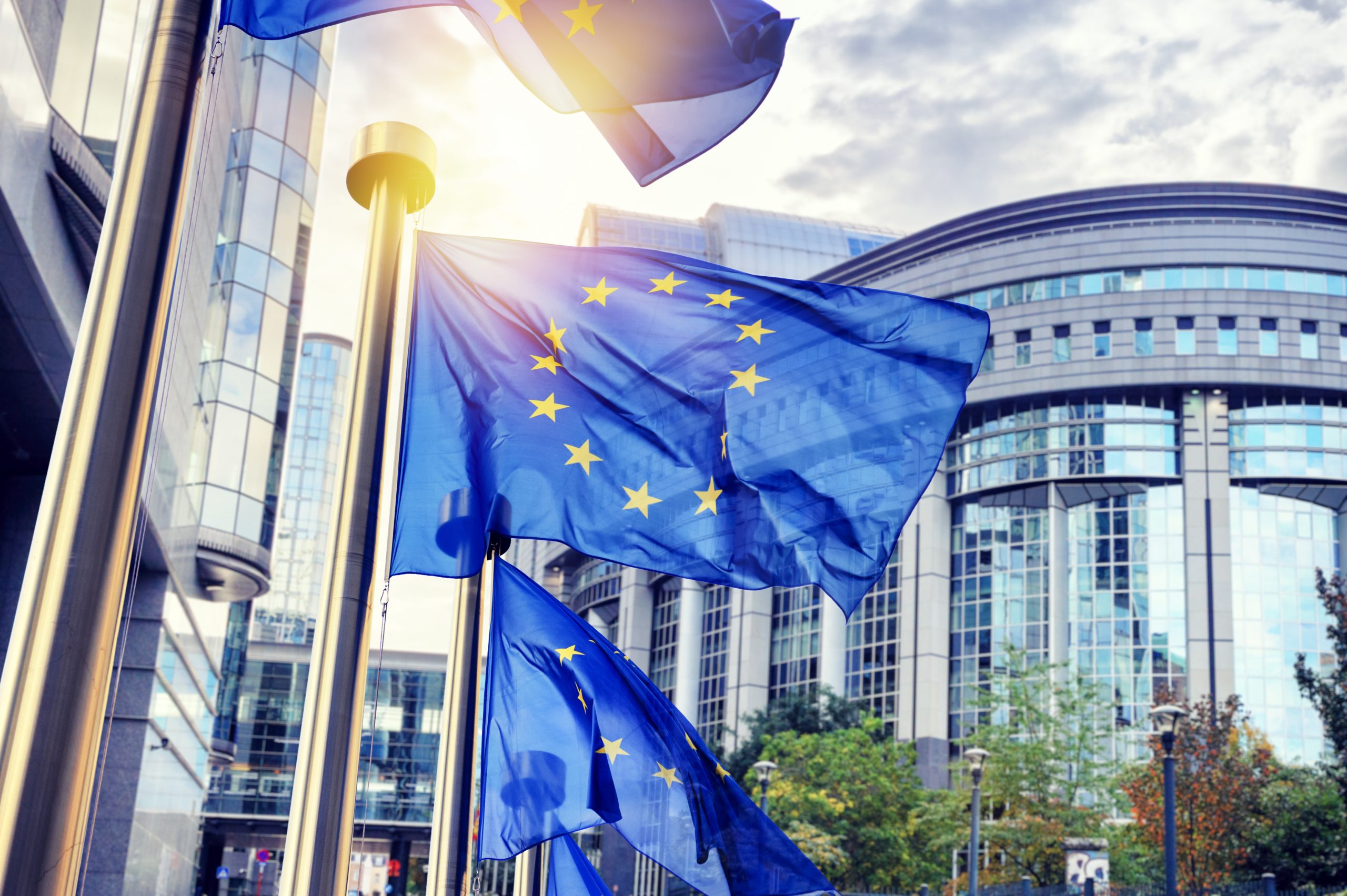 Europarlamentarii au dezbătut la Strasbourg chestiunea tezaurului României aflat în Rusia. Eurodeputat Renew: Înaintașii noștri n-au avut frică de dictatori. Așa că nu vă mai fie frică. Luați-le banii odată