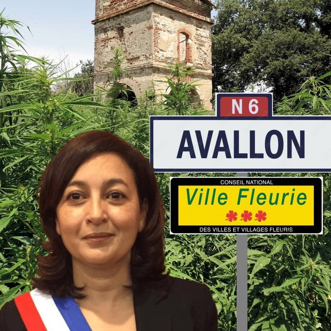 Primarul unei comune din Franța a fost arestat după descoperirea a 70 kg de canabis în locuința sa