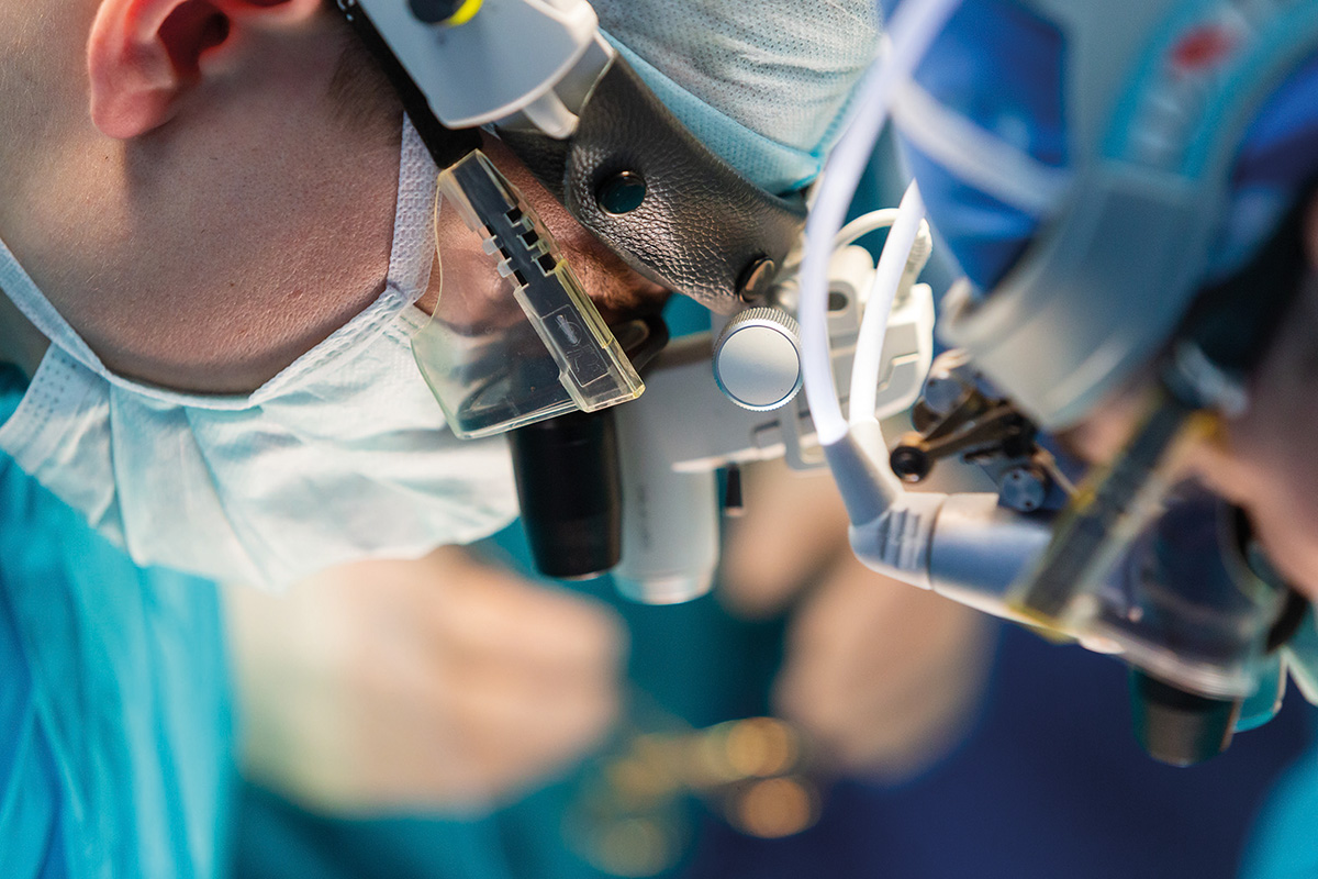 Xenotransplantul prinde avânt în domeniul chirurgiei