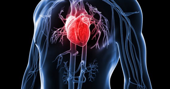 Cum poți reduce riscul de boli cardiovasculare?