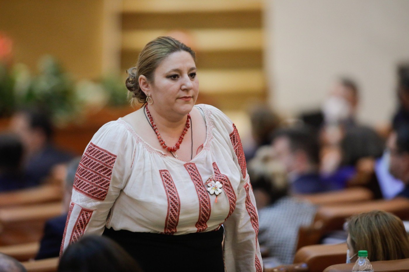 Diana Șoșoacă, invitată de Ciolacu la consultări pe tema datei alegerilor prezidențiale