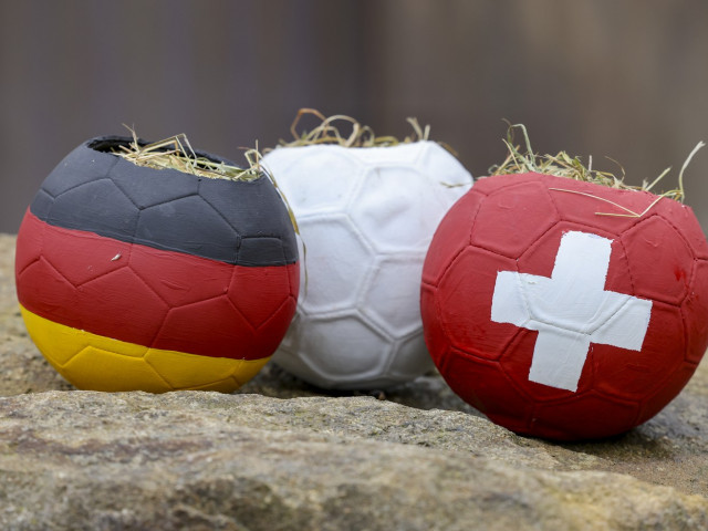 Elveția – Germania, Live Text, 22:00 pe digisport.ro. Nemții sunt deja calificați în optimile de finală