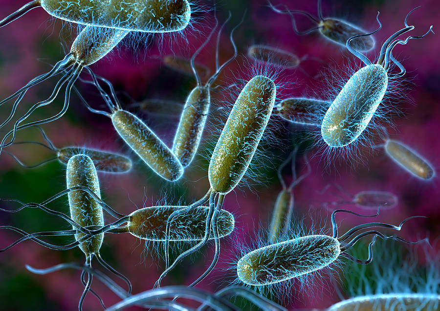O persoană a murit în urma epidemiei de E.coli. Cum să te ferești