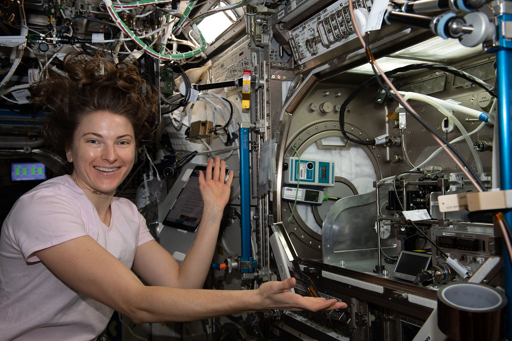 Celulele stem cultivate în spațiu pot trata cancerul