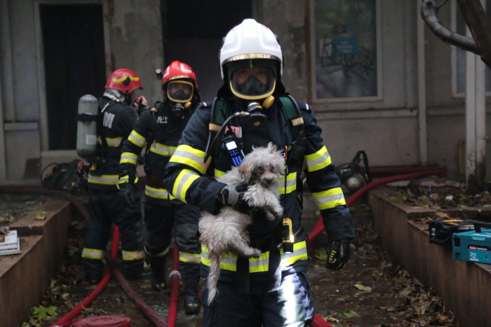 București: Clădire de patrimoniu, în flăcări. E vorba de fosta reședință a uneia dintre fiicele Reginei Maria. Pompierii au salvat din incendiu doi câini : Europa FM