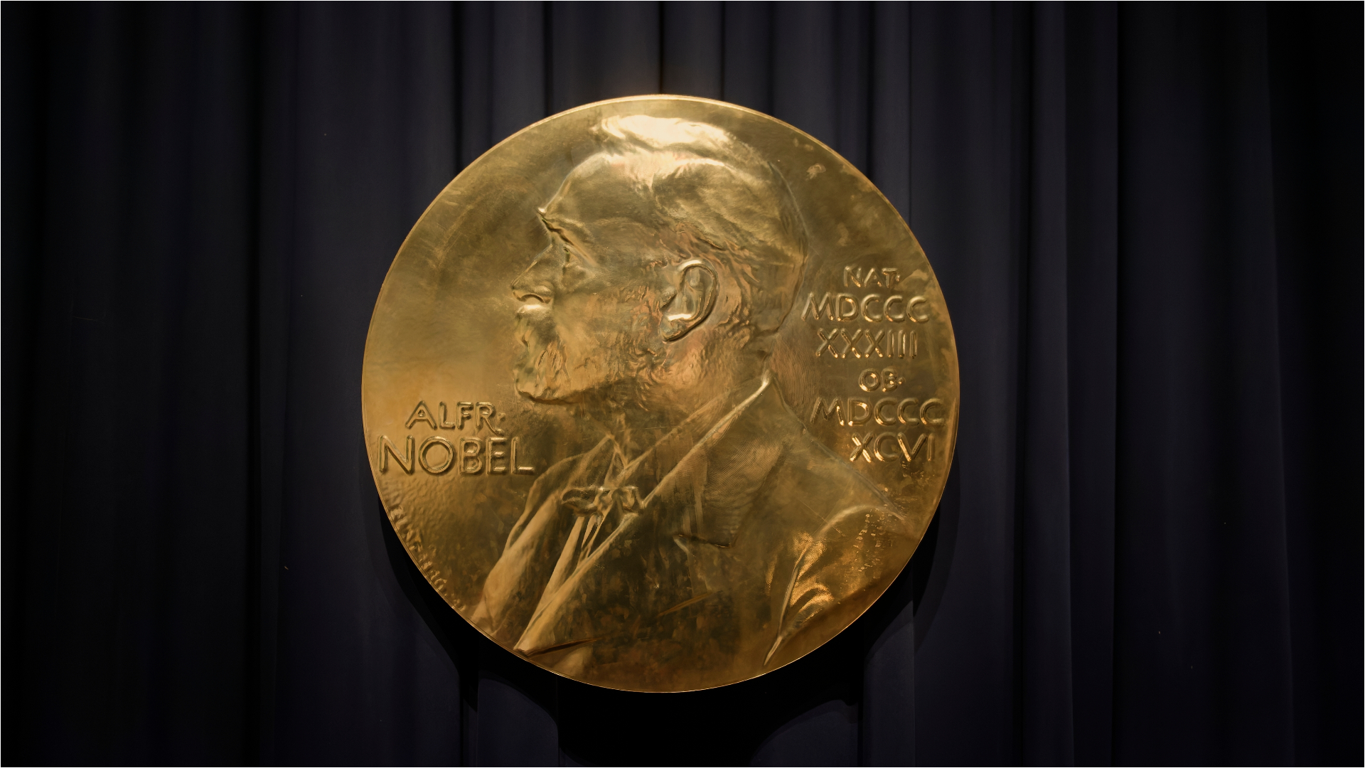 Câștigătorii premiilor Nobel 2024 | FOTO : Europa FM