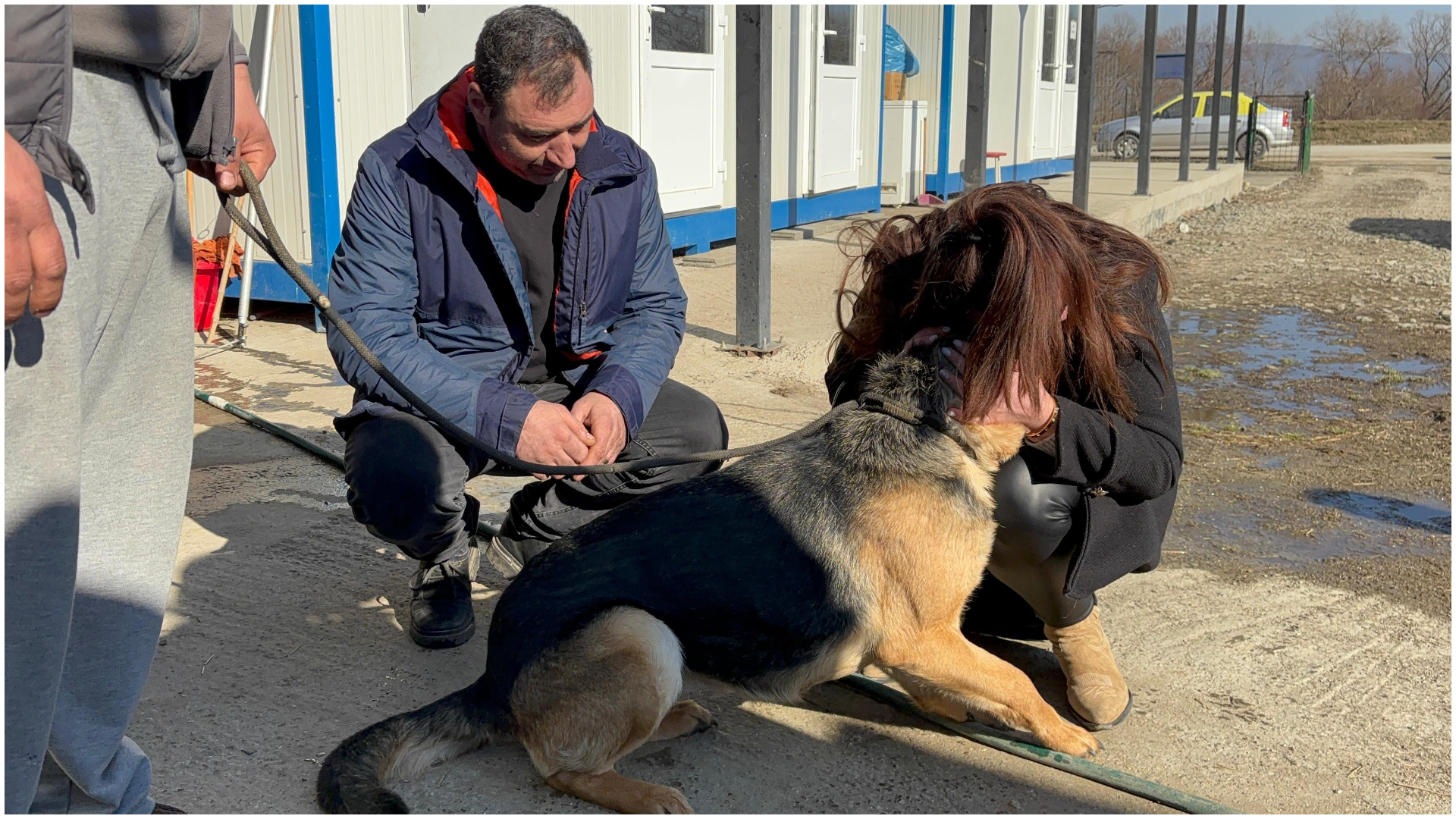 Hunedoara: O cățelușă care a plecat de acasă în Ajunul Crăciunului, speriată de petarde, a fost găsită și înapoiată familiei