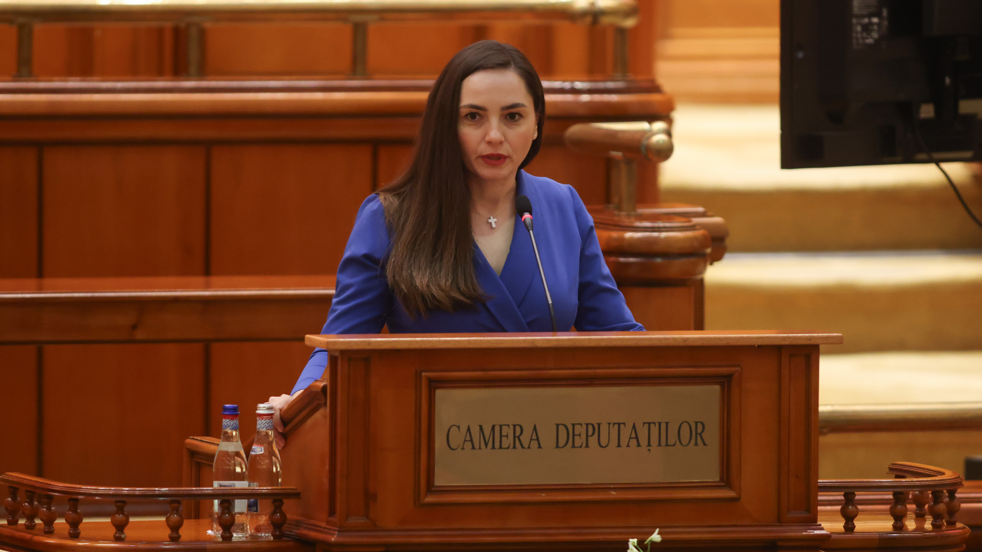 Președinta POT, Anamaria Gavrilă, anunță că se retrage din cursa pentru Cotroceni : Europa FM