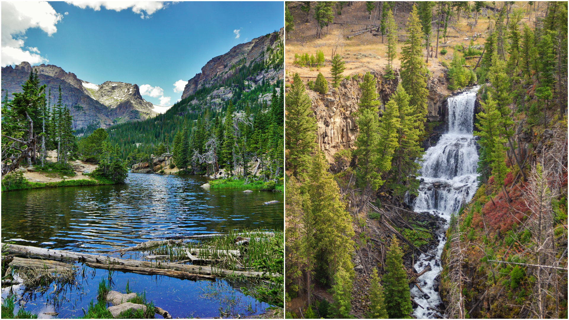 Taxe mai mari pentru turiștii care vor să viziteze parcurile naționale din Statele Unite. Cât va costa un abonament de la 1 ianuarie 2026 : Europa FM