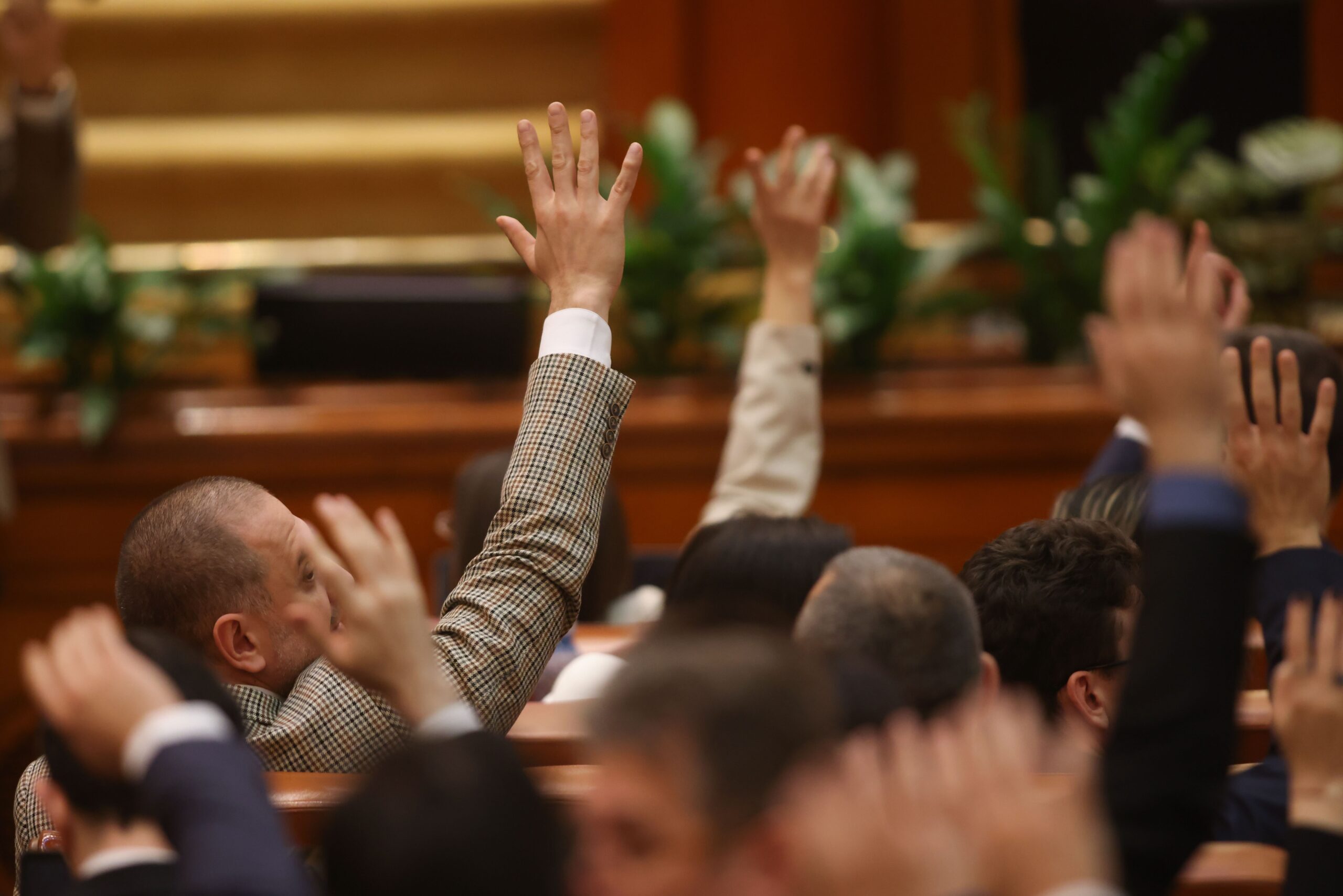 Sancțiunile dure din legea femicidului, adoptată de Senat, nu vor descuraja crimele, avertizează un renumit psiholog