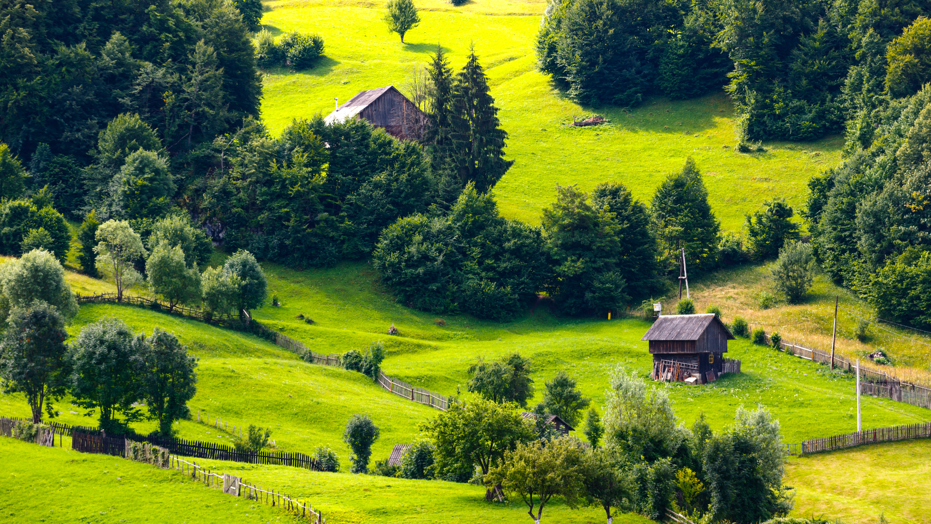 Impozitul pentru locuințele din Delta Dunării și din Munții Apuseni, redus cu 50%. Guvernul a luat această măsură la solicitarea OCDE : Europa FM